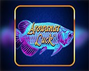 Arowana`s Luck